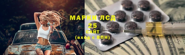 прущие грибы Дмитров