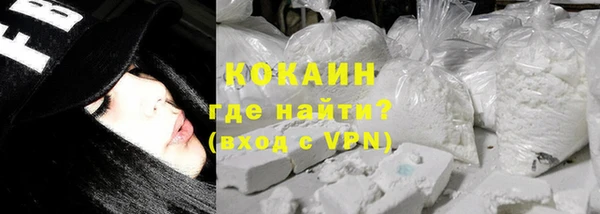 прущие грибы Дмитров