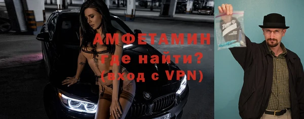 прущие грибы Дмитров