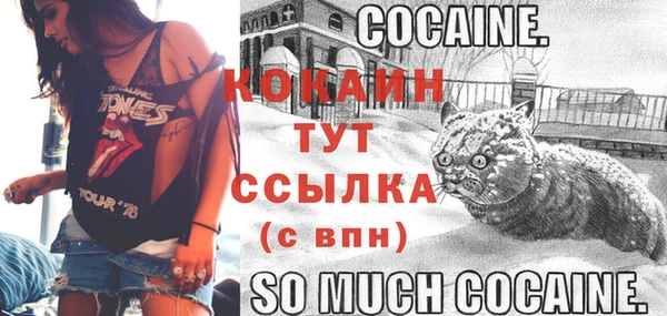 прущие грибы Дмитров