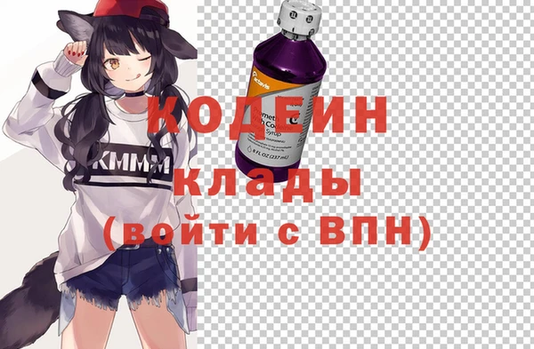 прущие грибы Дмитров