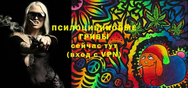 прущие грибы Дмитров