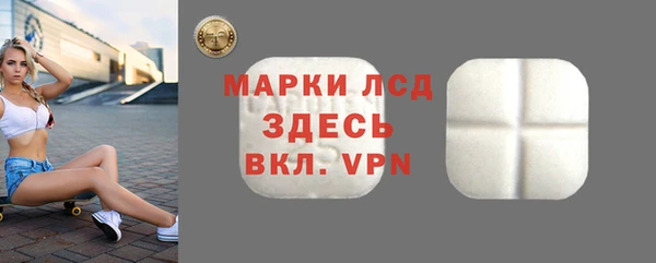 прущие грибы Дмитров
