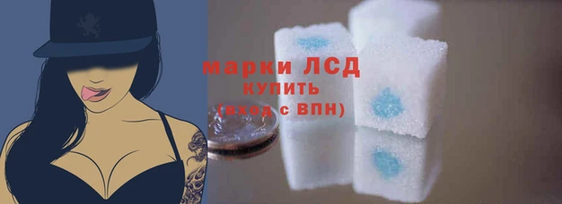 прущие грибы Дмитров