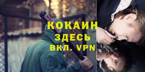 бошки Дмитриев