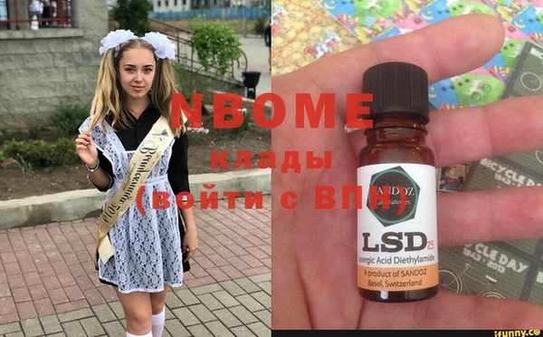 прущие грибы Дмитров